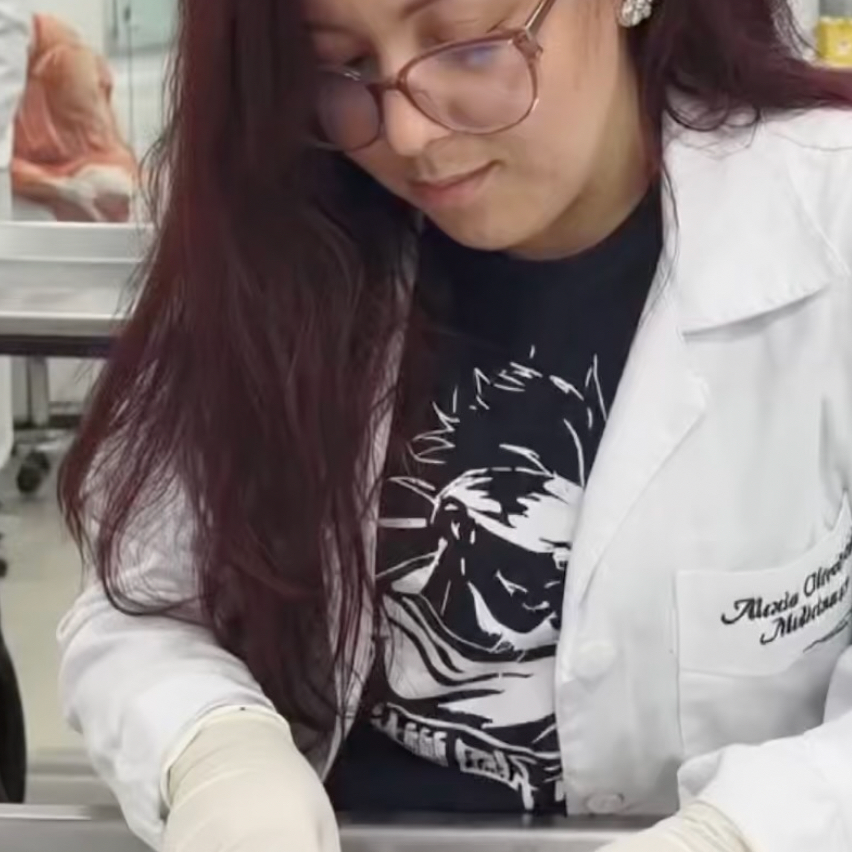 Treinamento para estudante de Medicina híbrido