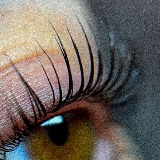 Lash Lifting