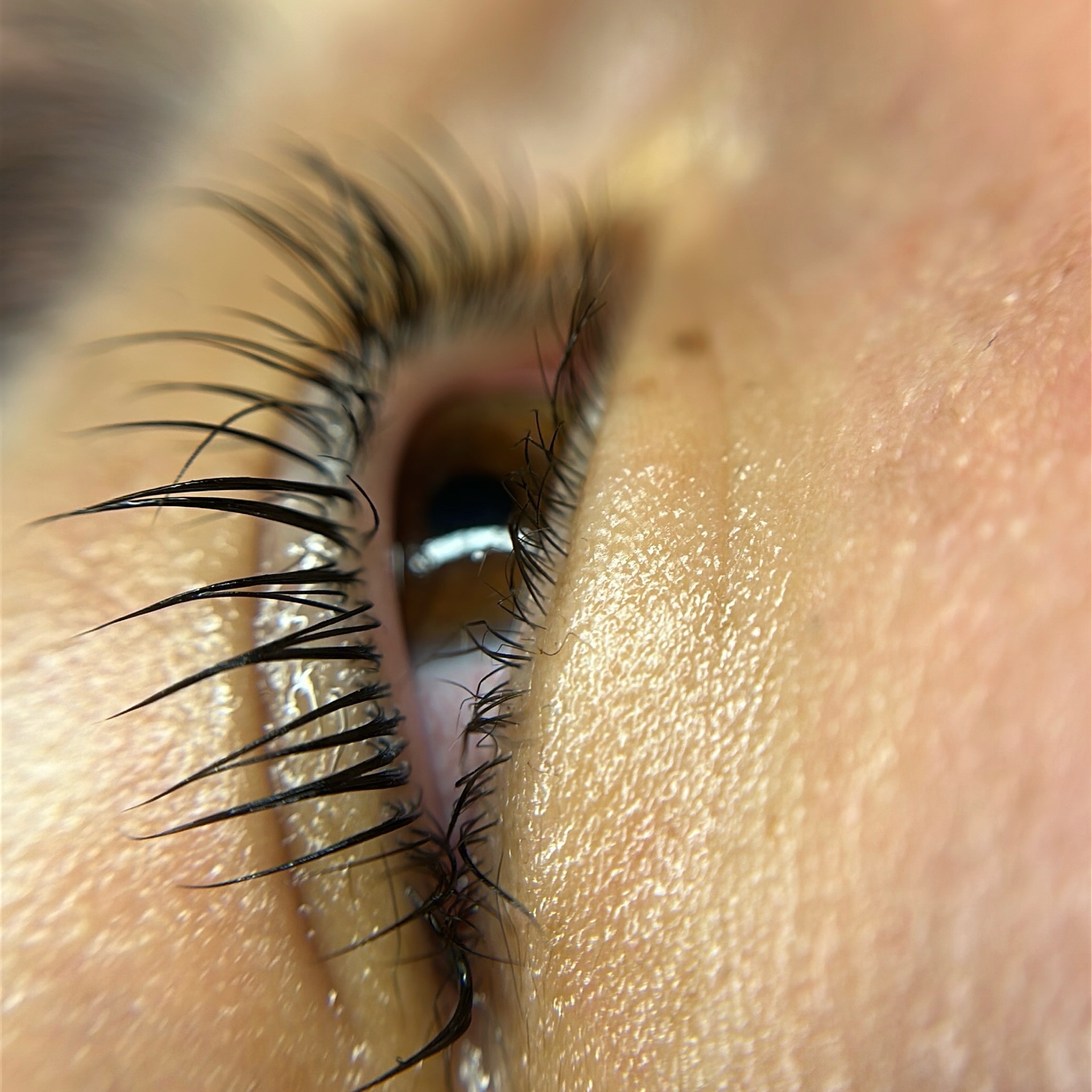 lash lifting