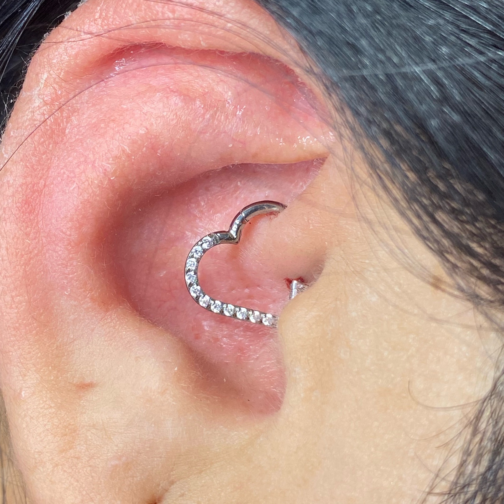 Daith titânio