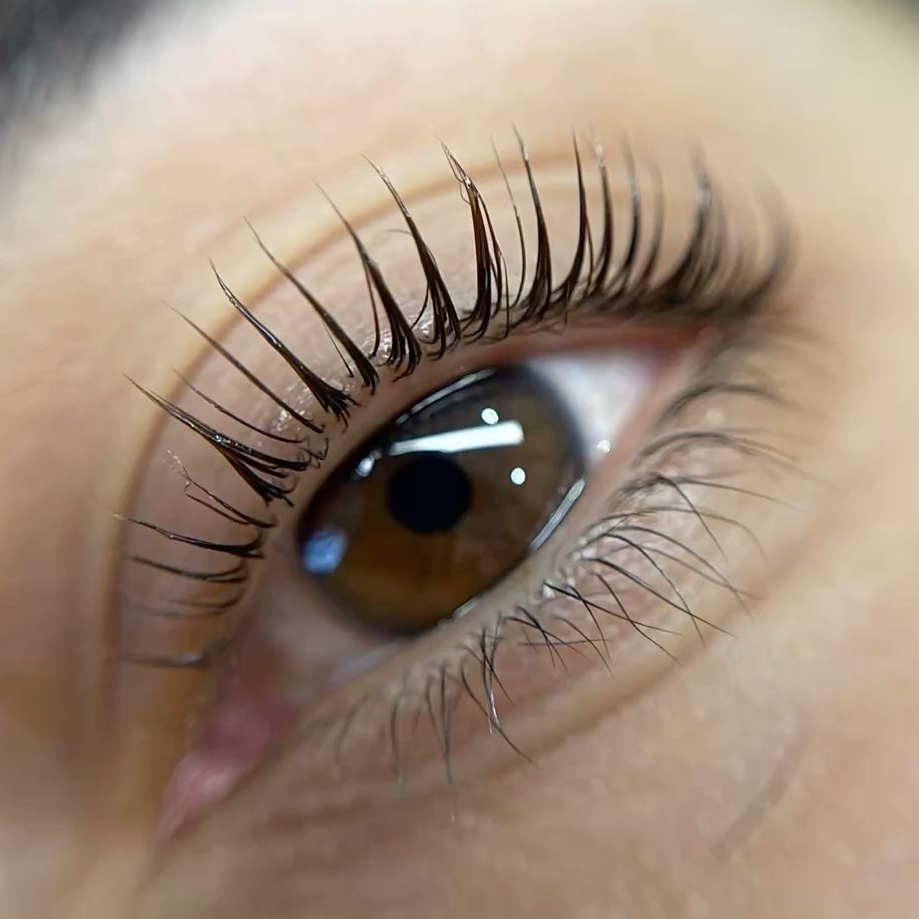 lash lifting