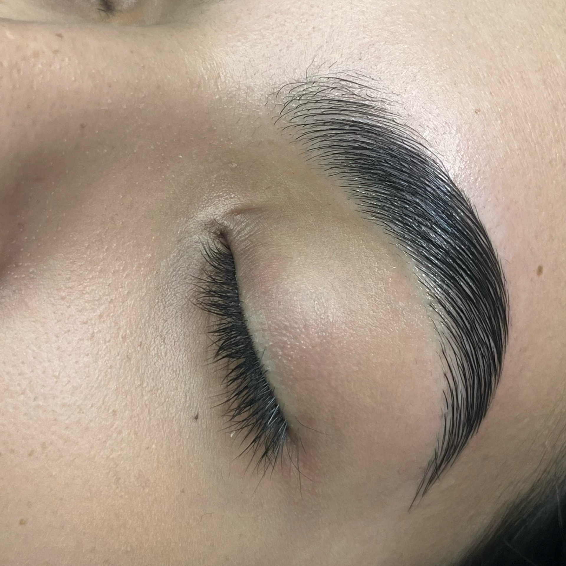 brow lamination